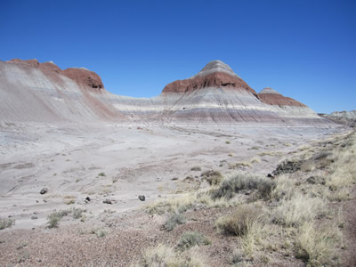 painted desert